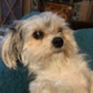 Meet your Posher, Becky